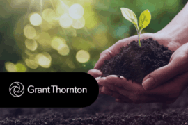 Rozporządzenie EUDR – na czym polega i dlaczego ma zastosowanie do tysięcy firm w Polsce?